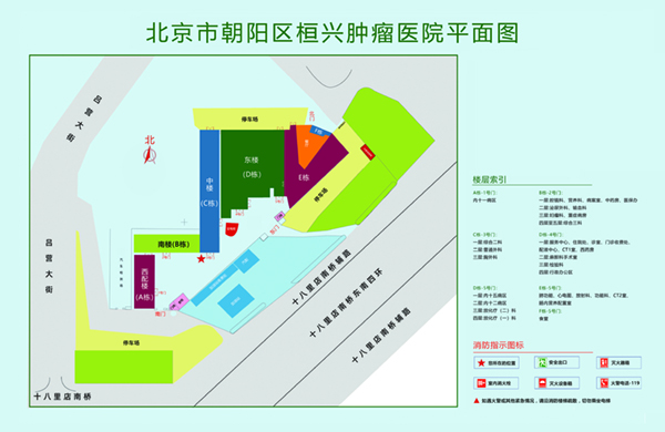 日屄喷骚水视频北京市朝阳区桓兴肿瘤医院平面图